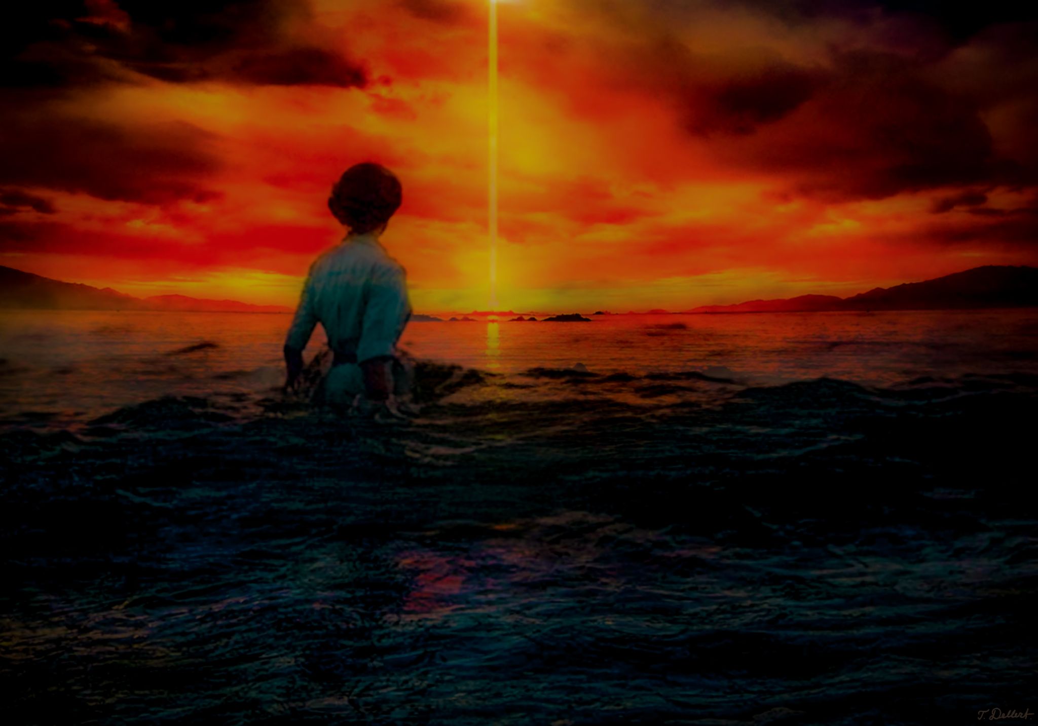 The light of the coming  copy